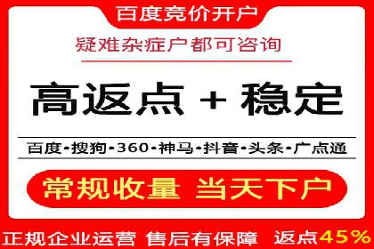 关键词竞价排名策略：成功企业的案例分析